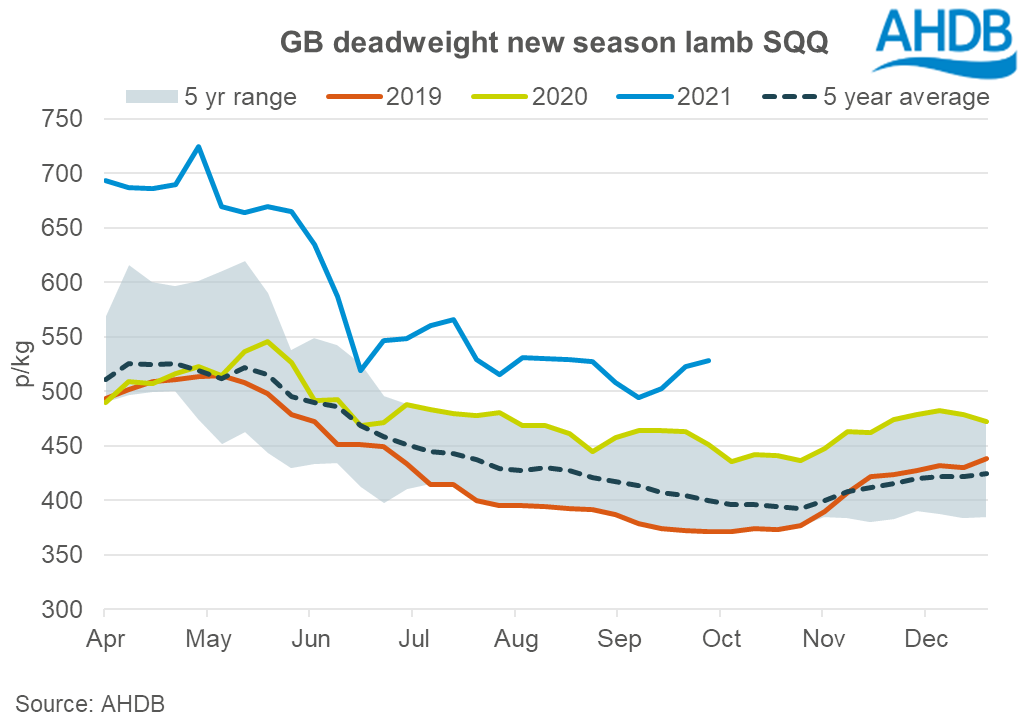 GB deadweight new season lamb prices